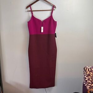 Express Fuchsia and Maroon Midi Dress